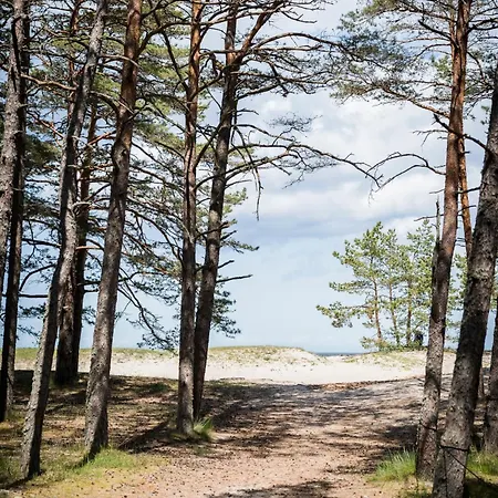 Rahusalu Calm Hébergement de vacances Laulasmaa