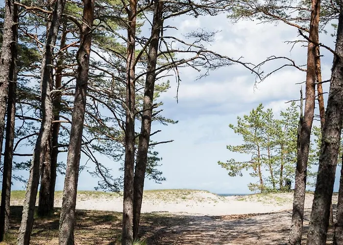 Rahusalu Calm Tatil Evi Laulasmaa